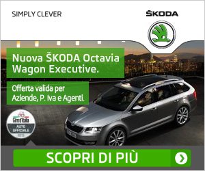 Skoda Octavia - 300x250 Pixels